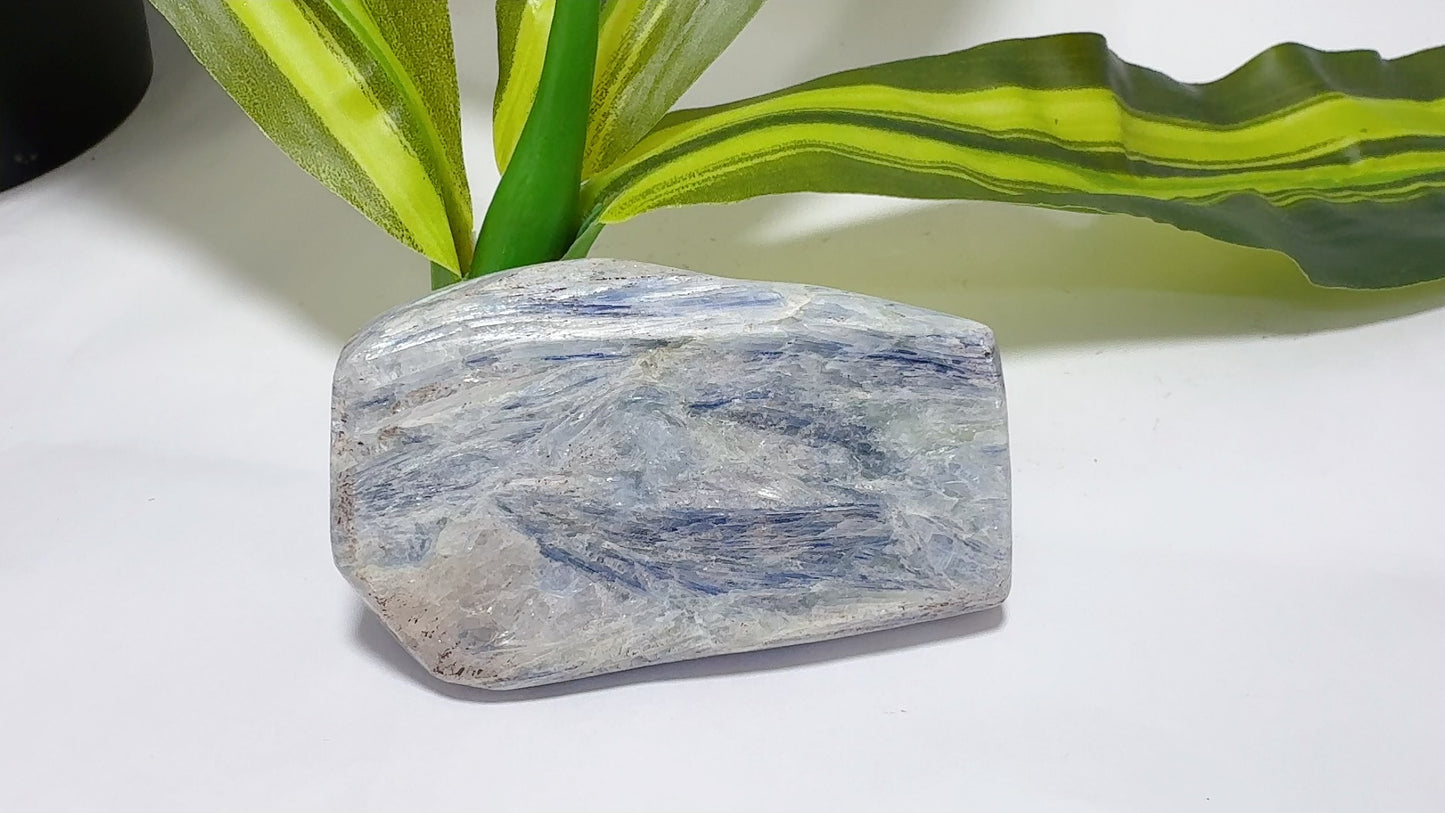 Kyanite Freeform 266g