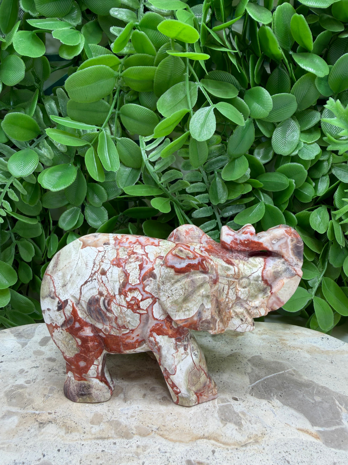 Money Agate Elephant 464g | Abundance • Prosperity • Success