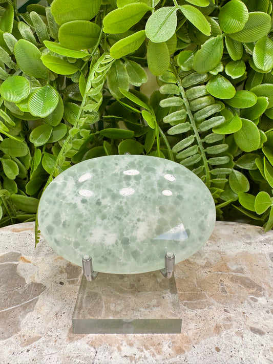 Aqua Caribbean Calcite Palm 150g