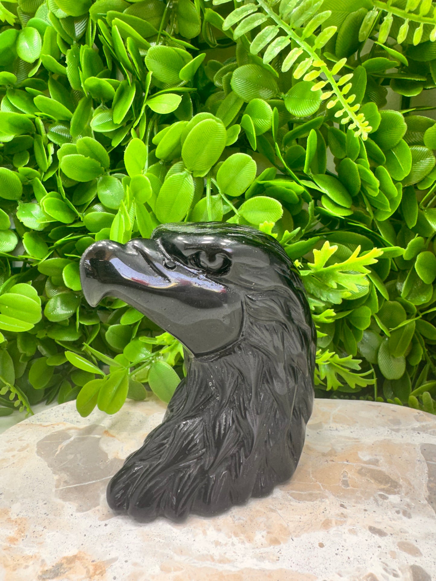 Black Obsidian Eagle 634g