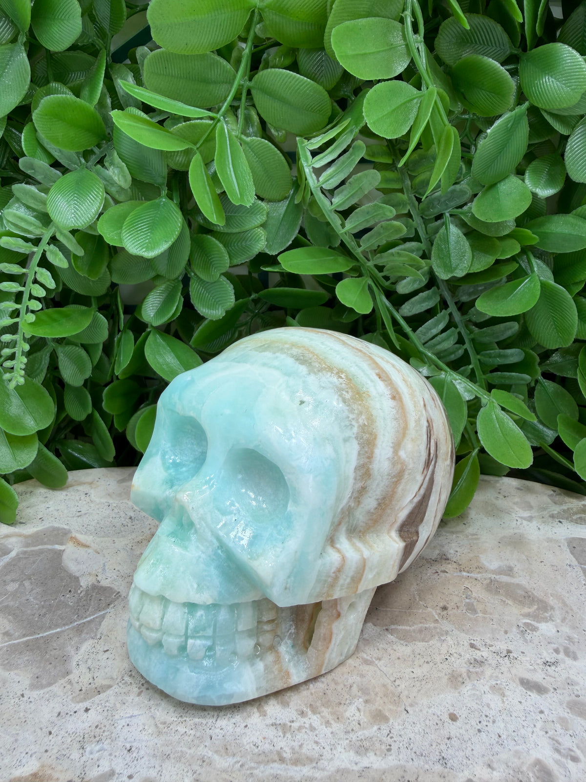 Caribbean Calcite Skull | Calm • Intuition • Emotional Healing