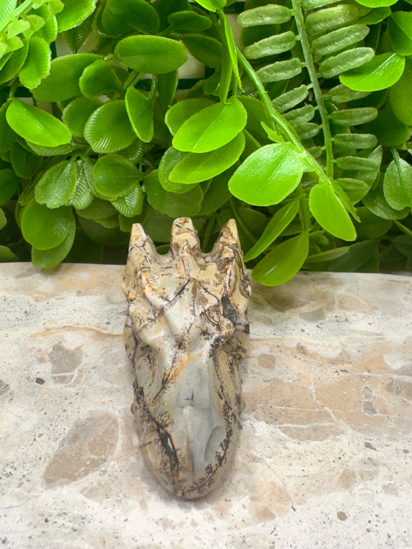 Picture Jasper Dragon Skull 118g