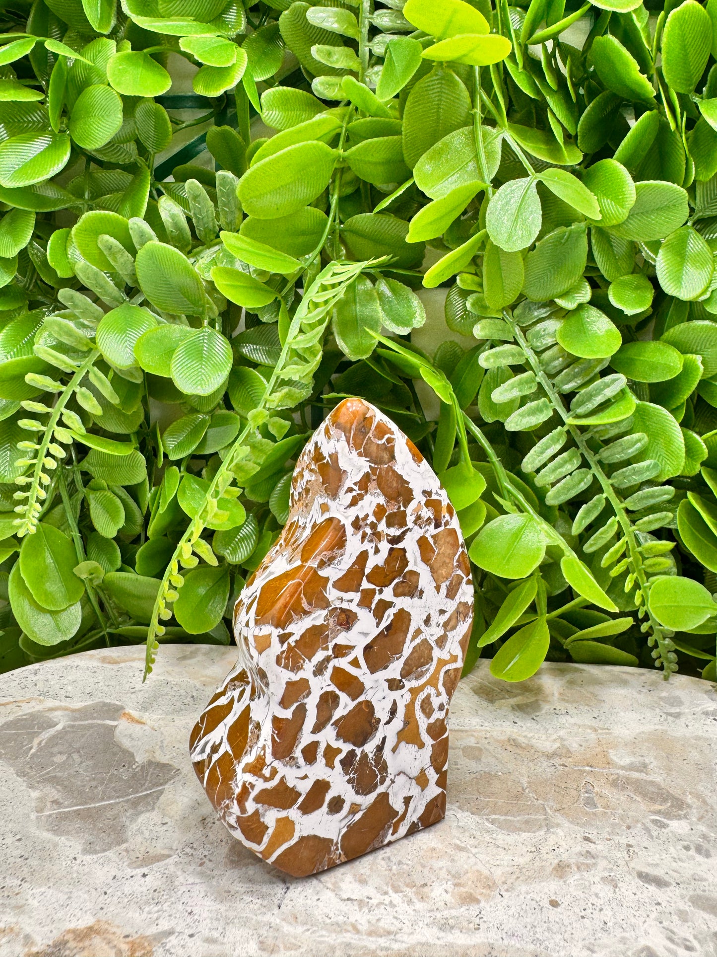 Jasper Agate Freeform 228g