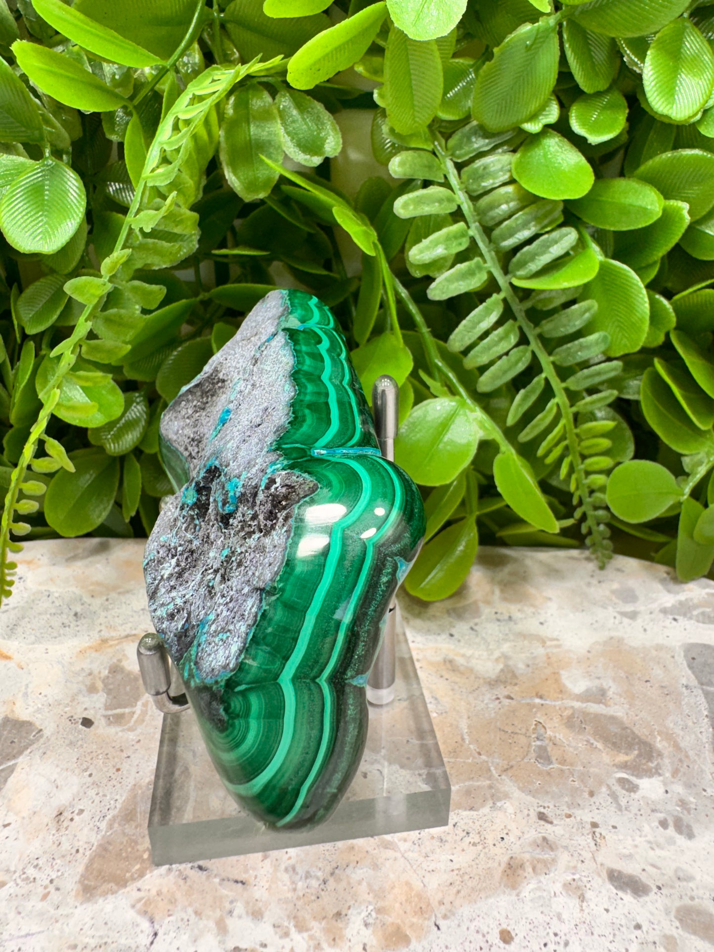 Malachite with Chryscolla Freeform 238g