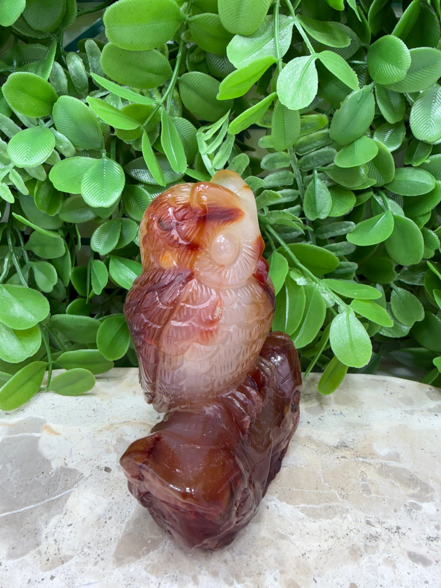 Carnelian Owl 480g
