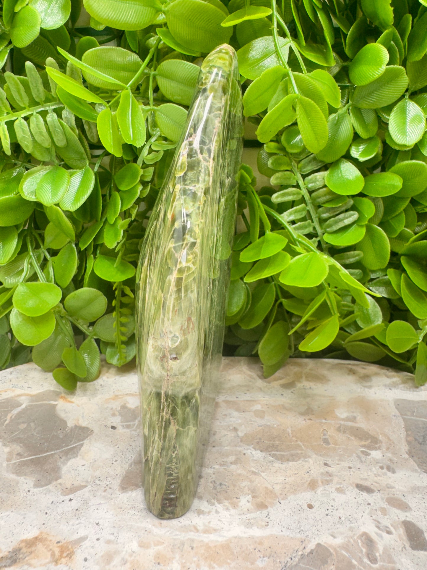 Tremolite Freeform 576g