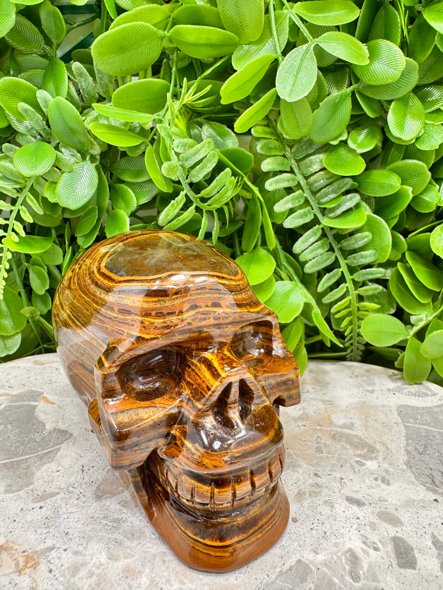 Tiger Ore Skull 1100g