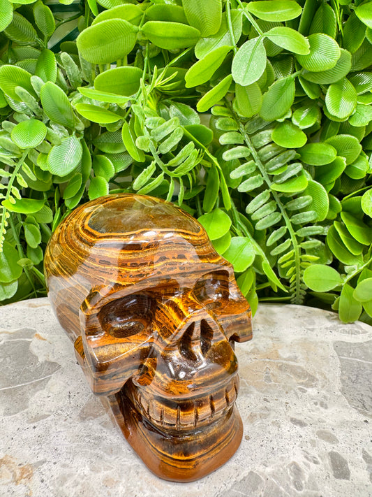Tiger Ore Skull 1100g