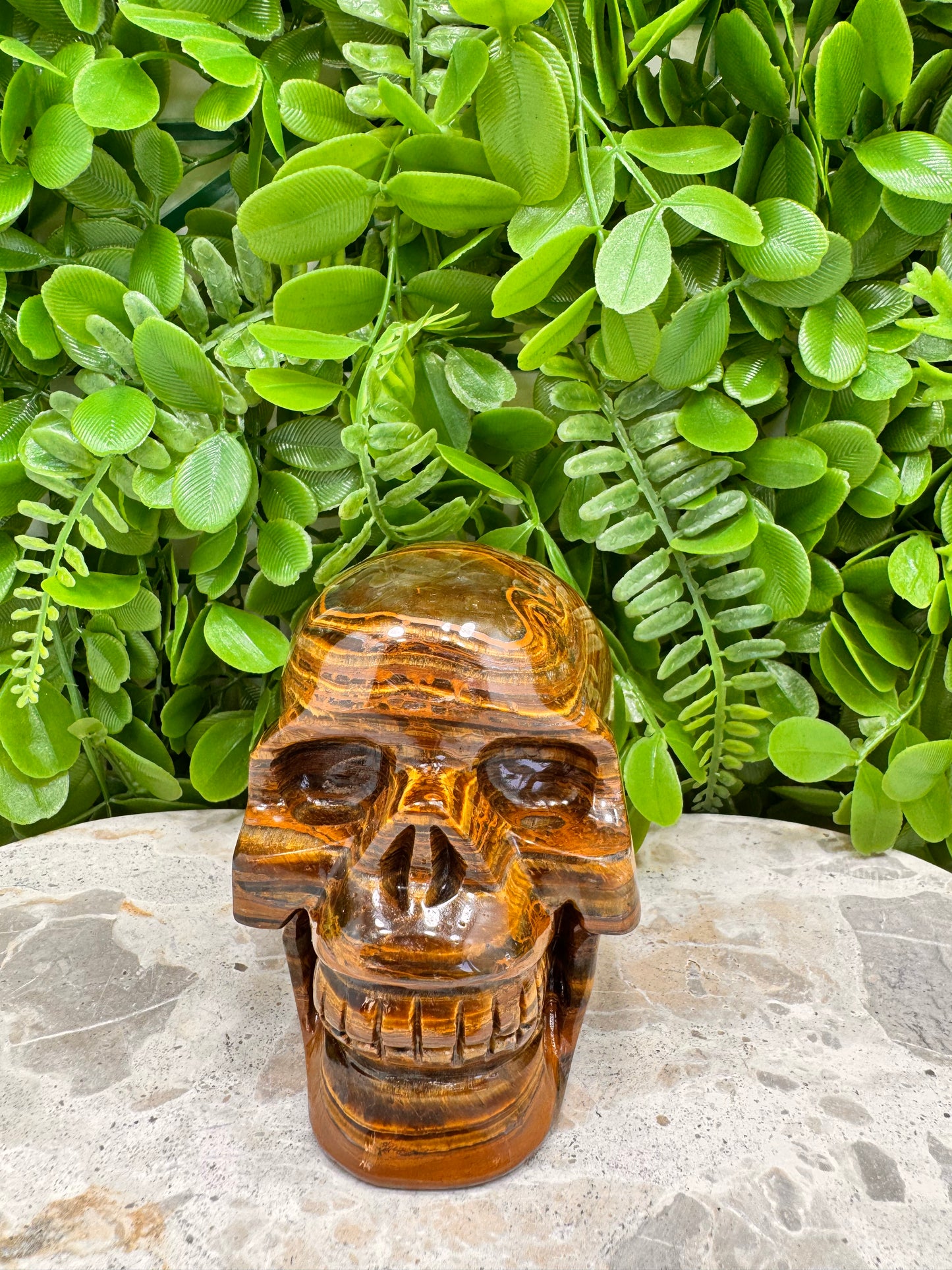 Tiger Ore Skull 1100g