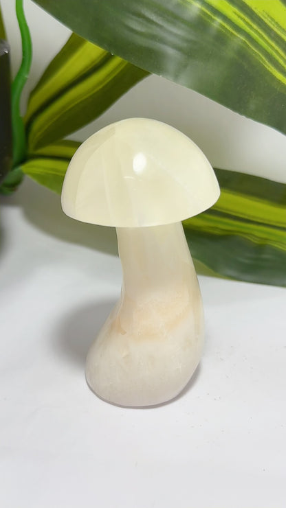 Lemon Calcite Mushroom 236g