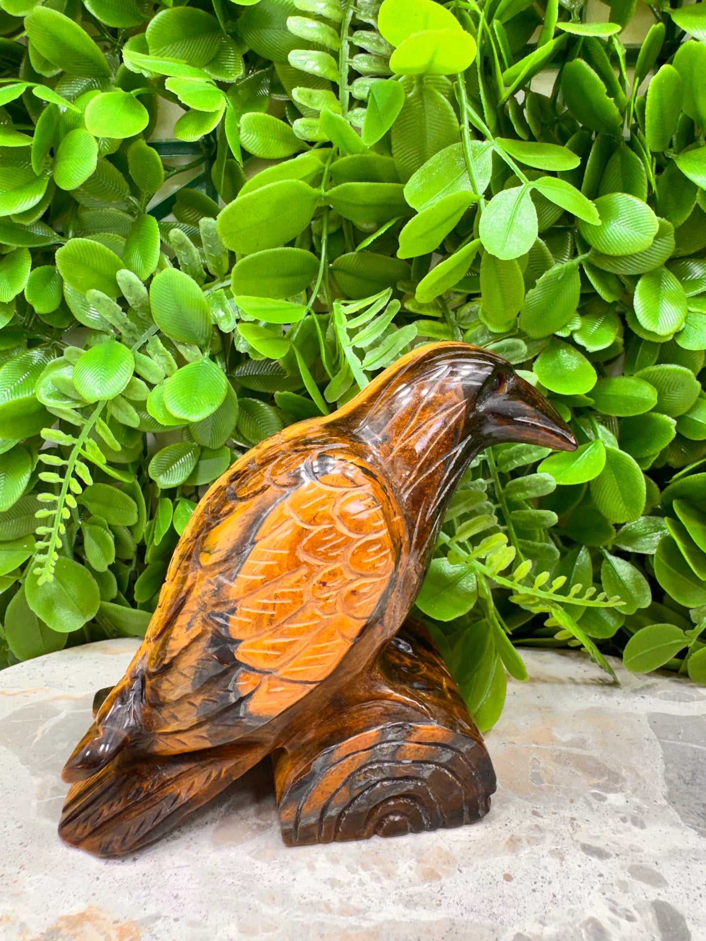 Tigers Eye Raven 746g