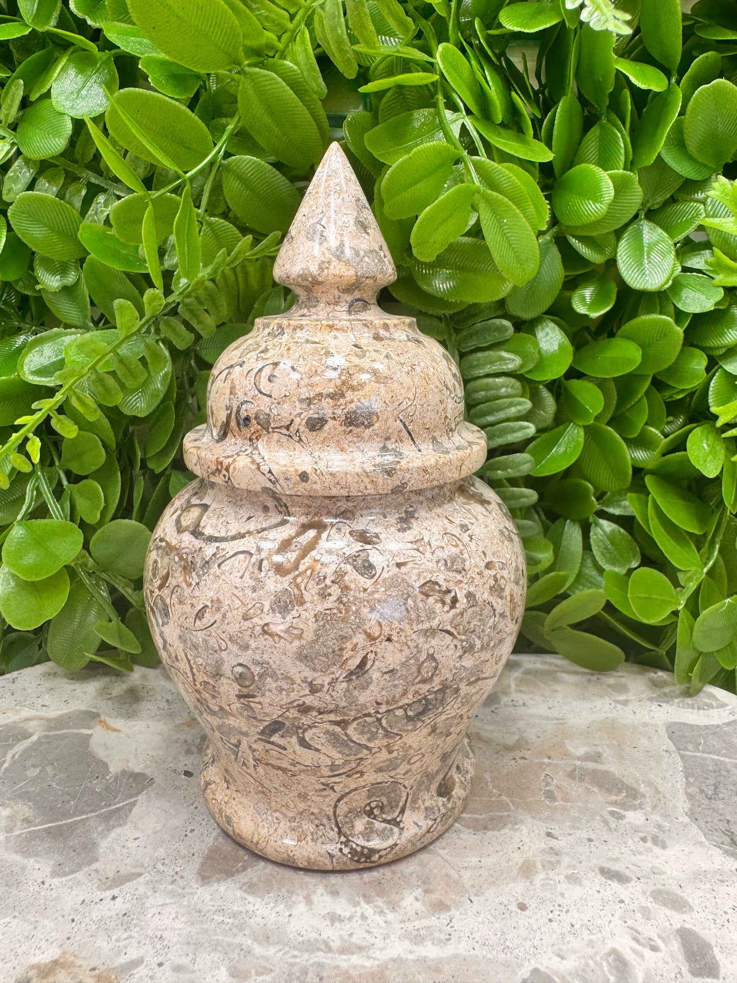 Shell Jasper Jar with Lid 598g