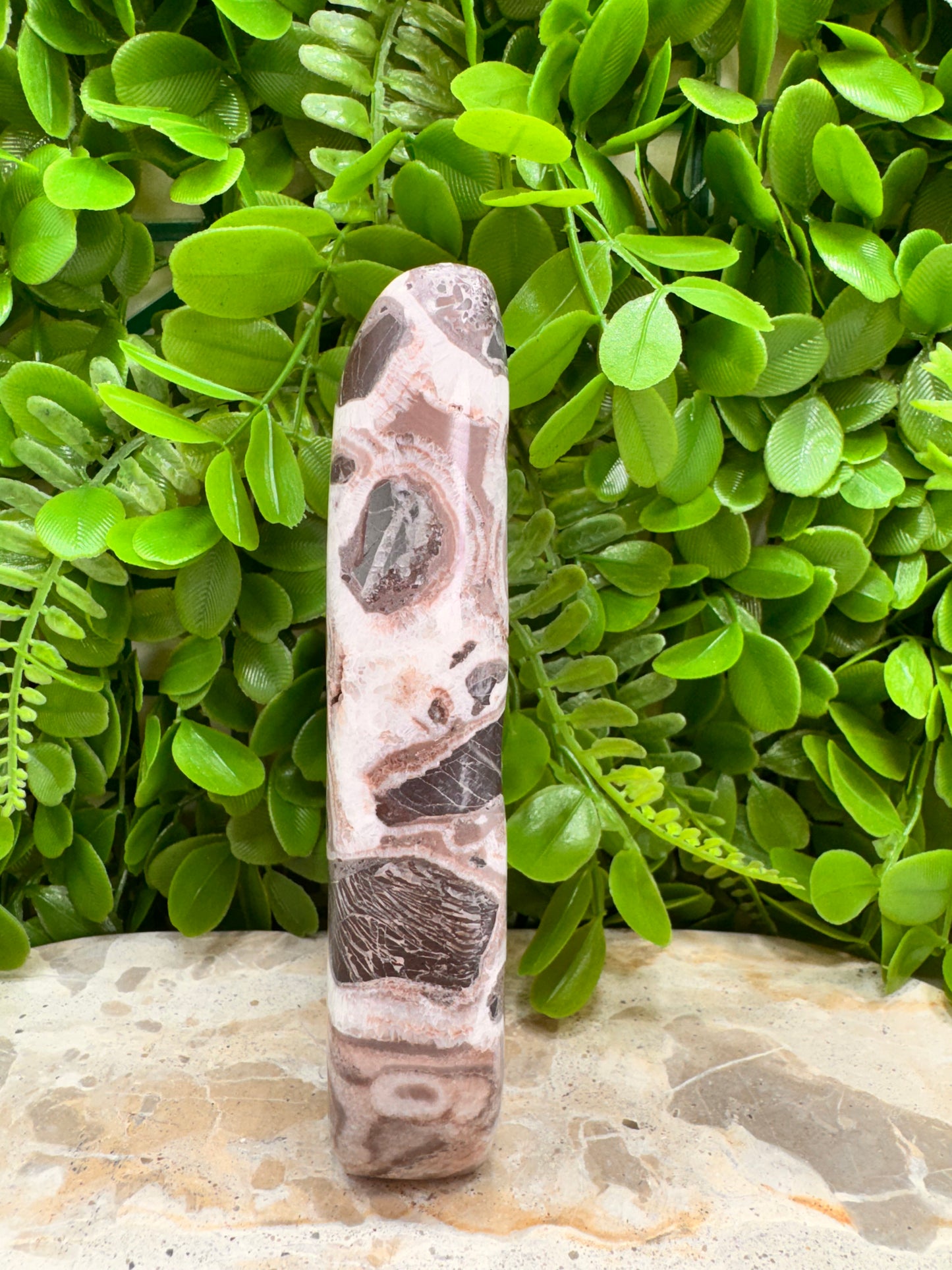 Chocolate Aragonite Freeform 508g