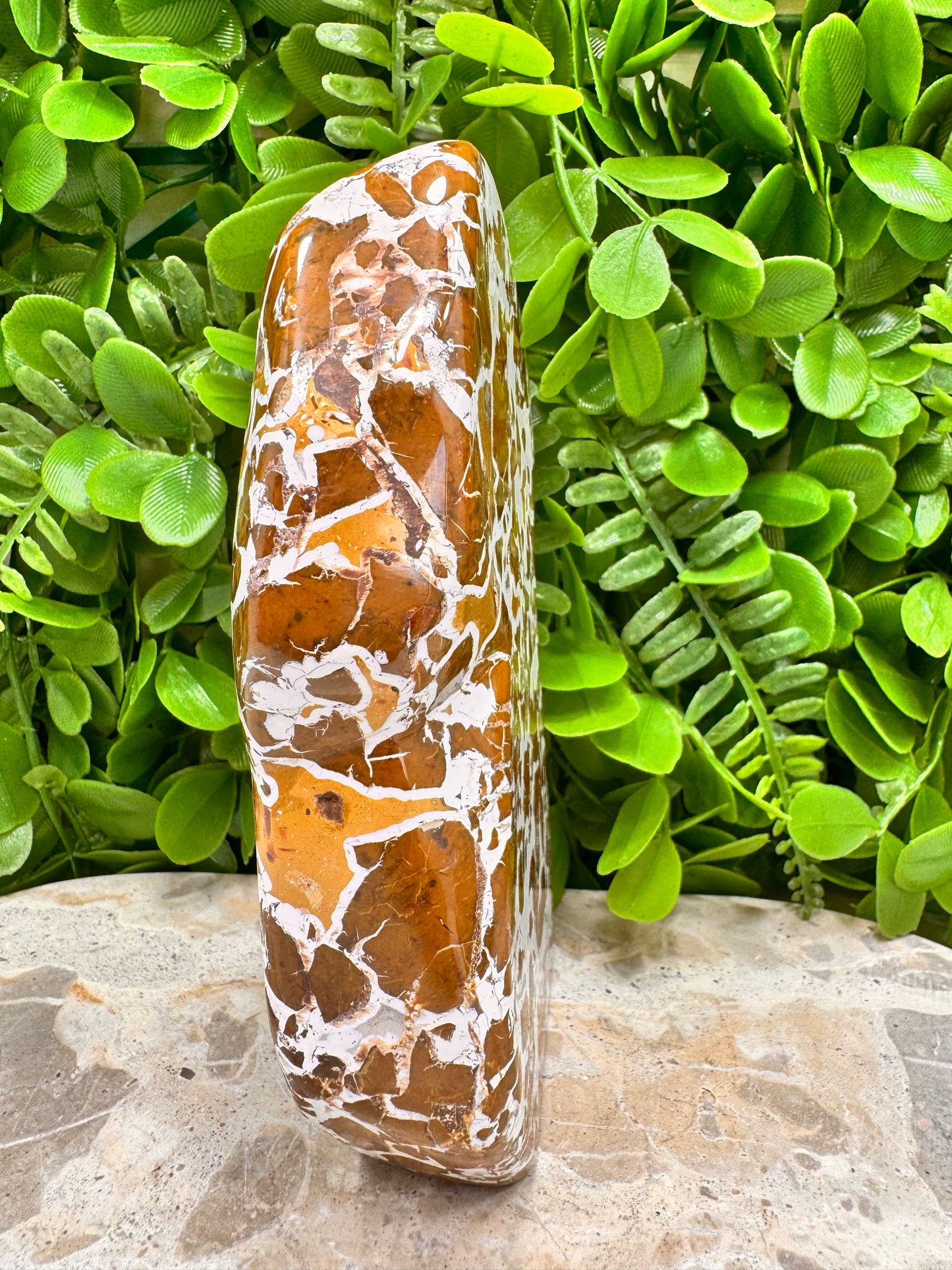 Jasper Agate Freeform 780g