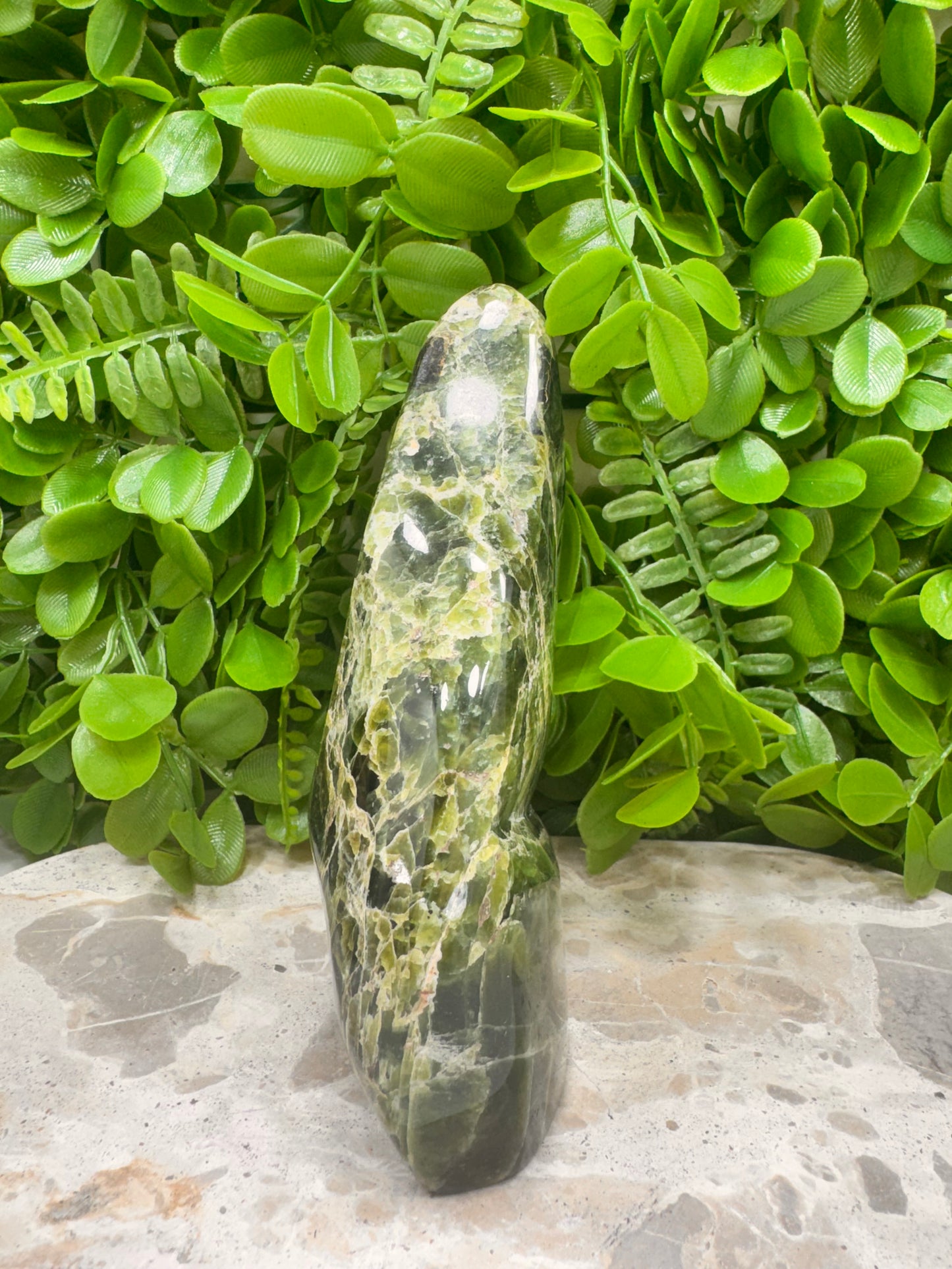 Tremolite Freeform 662g