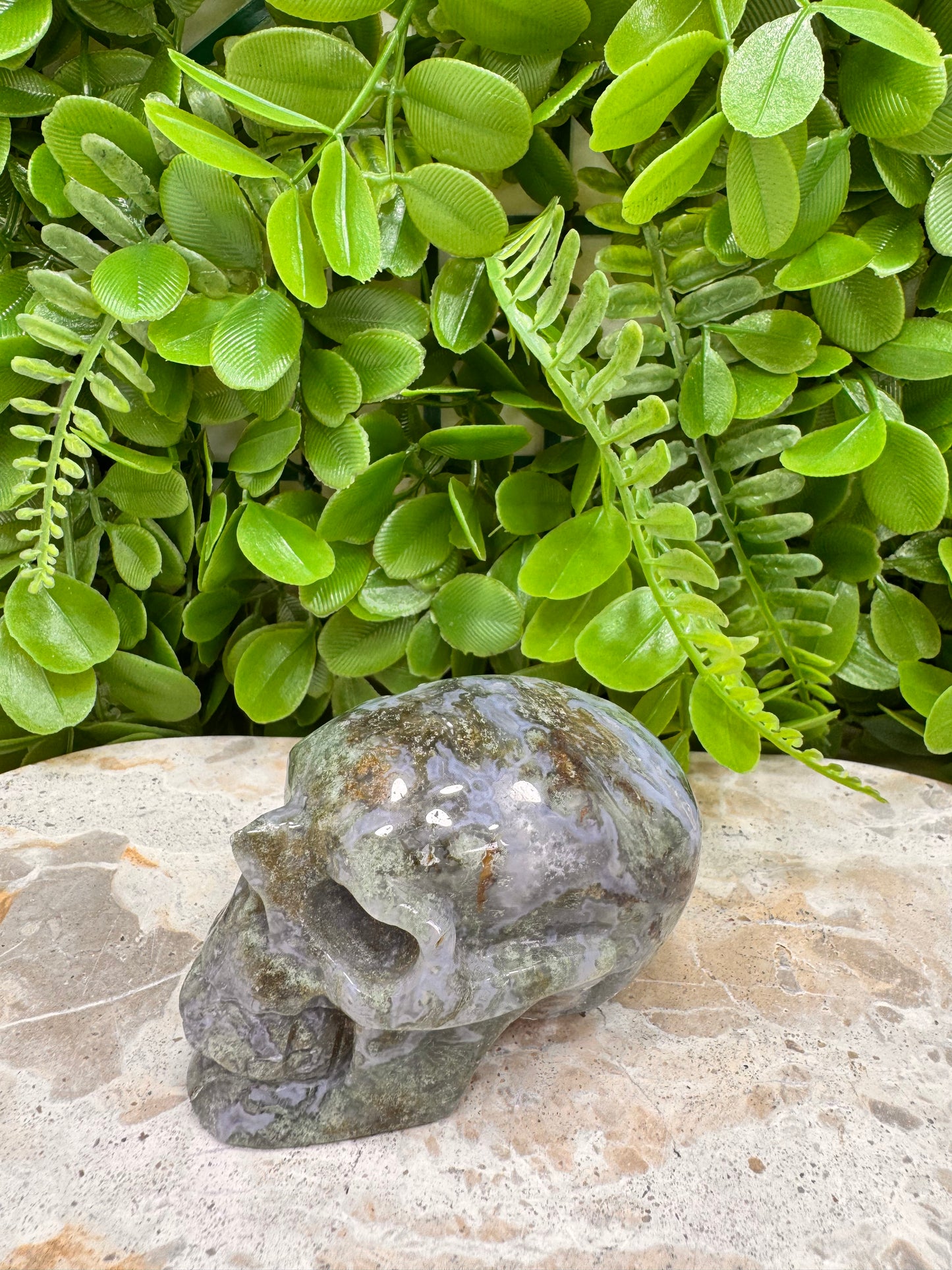 Moss Agate Druzy Skull 268g