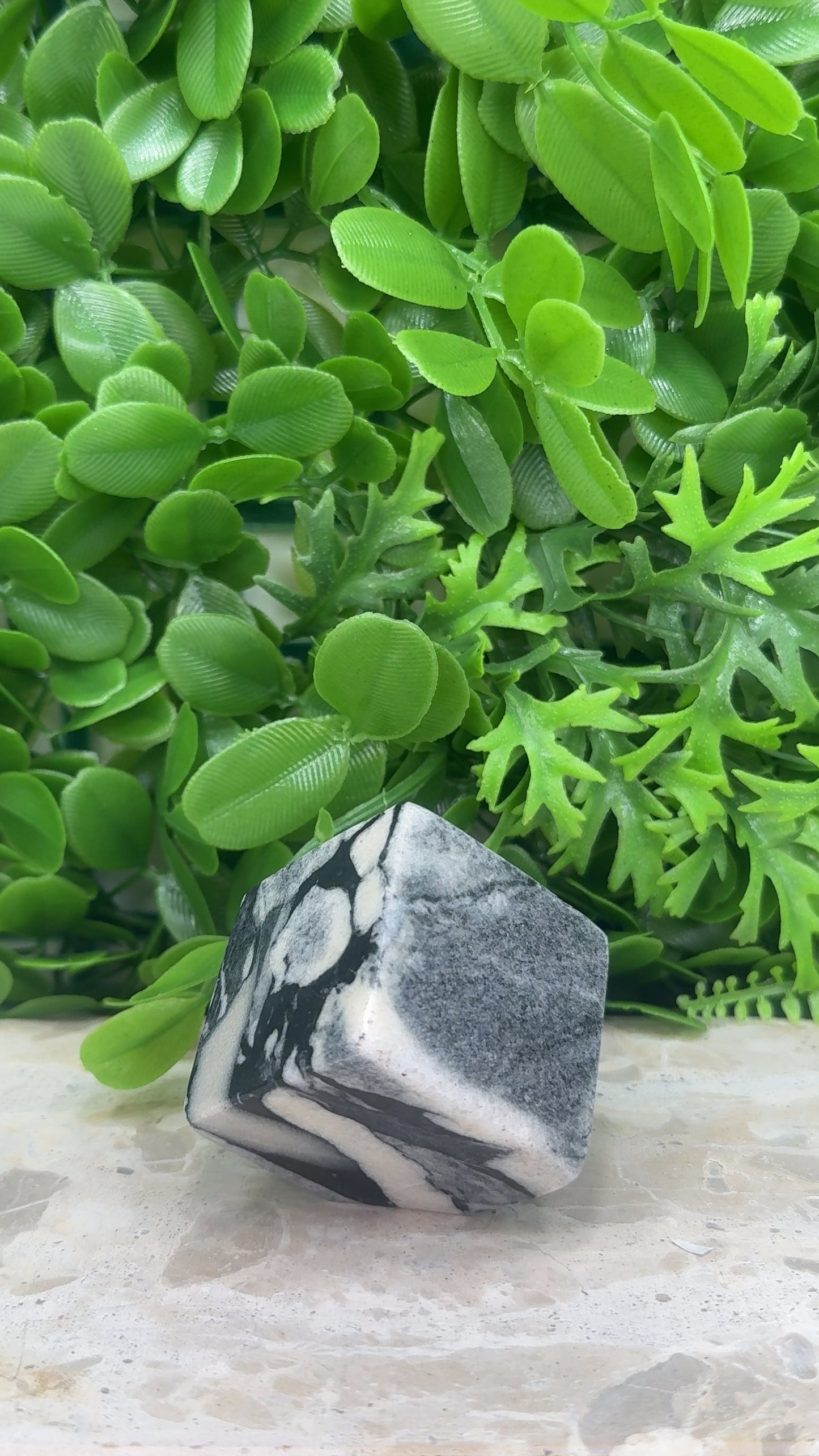 Shell Jasper Cube 198g