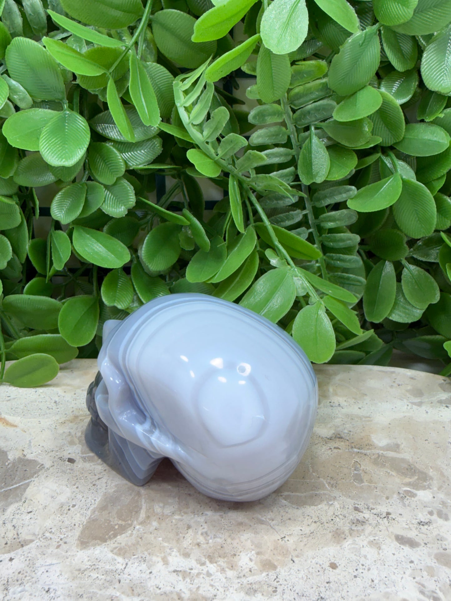 Agate Skull 288g