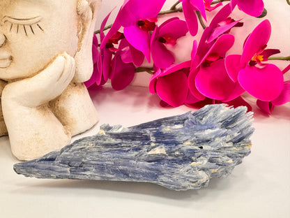 Kyanite Raw 834g