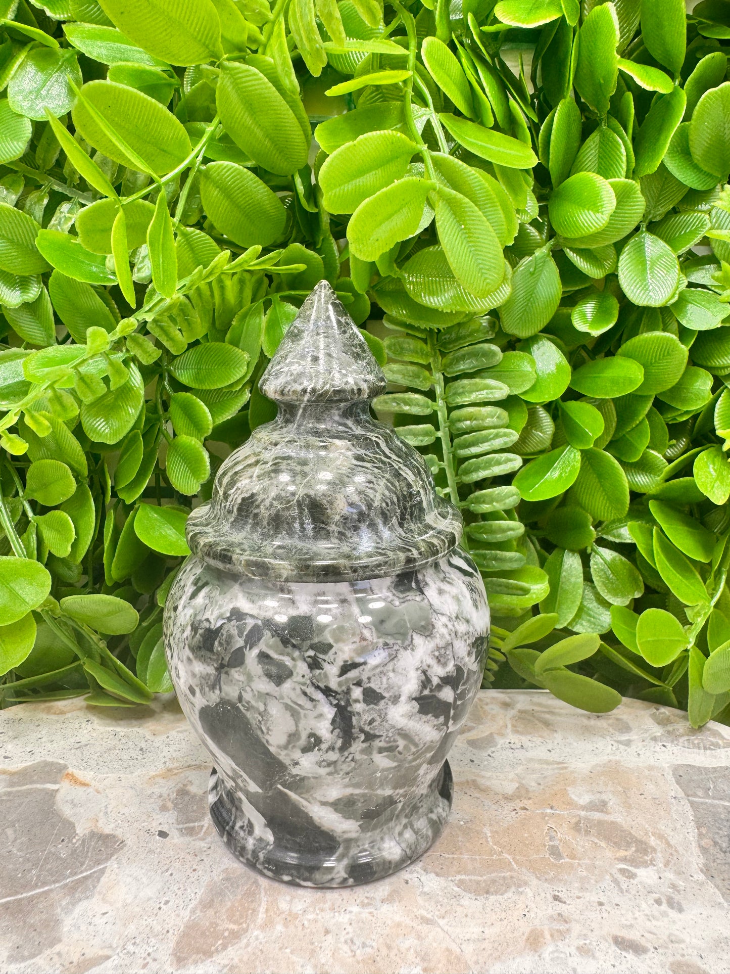 Black Zebra Serpentine Urn 416g