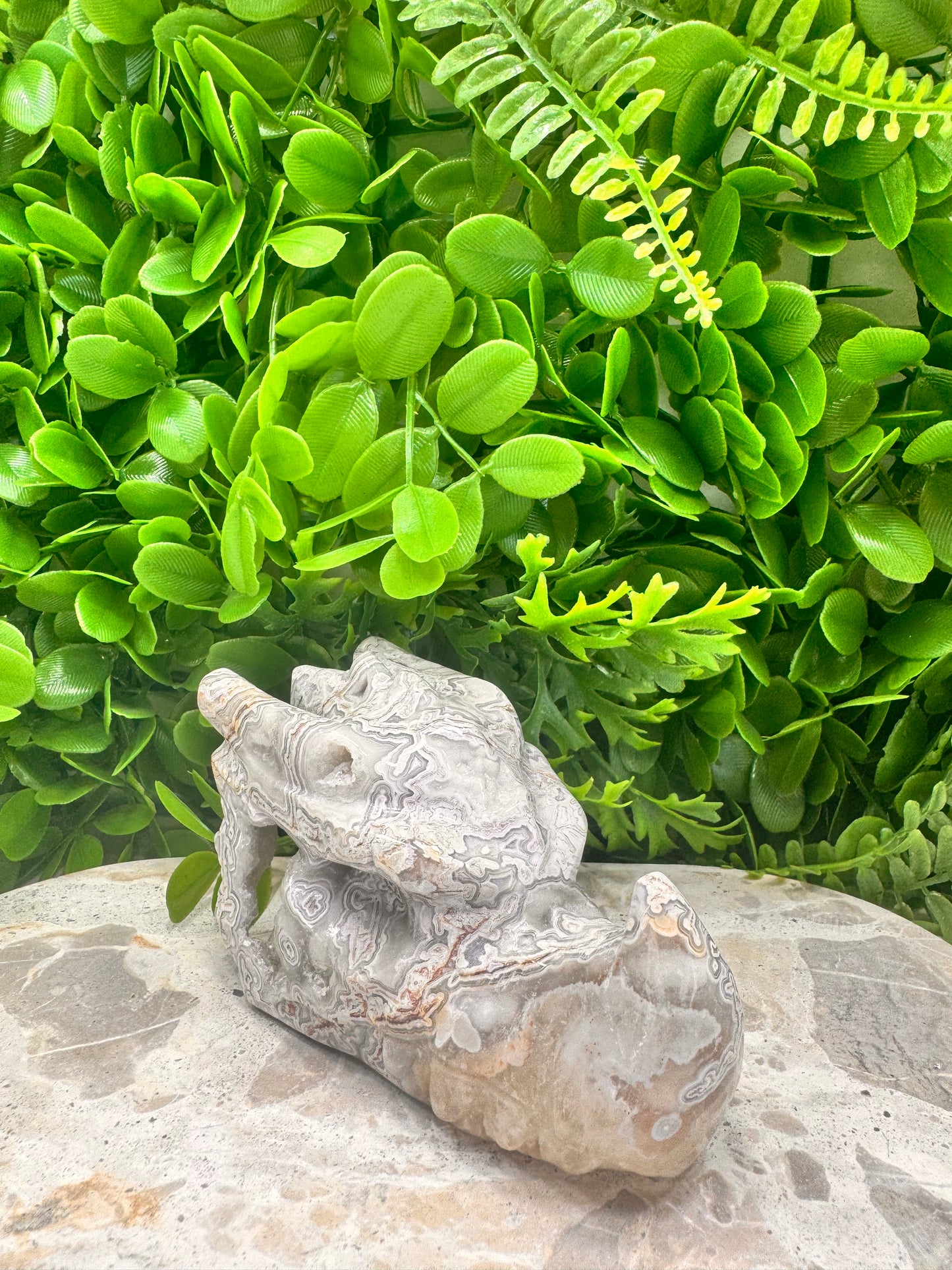 Mexican Agate Druzy Dragon Skull 594g