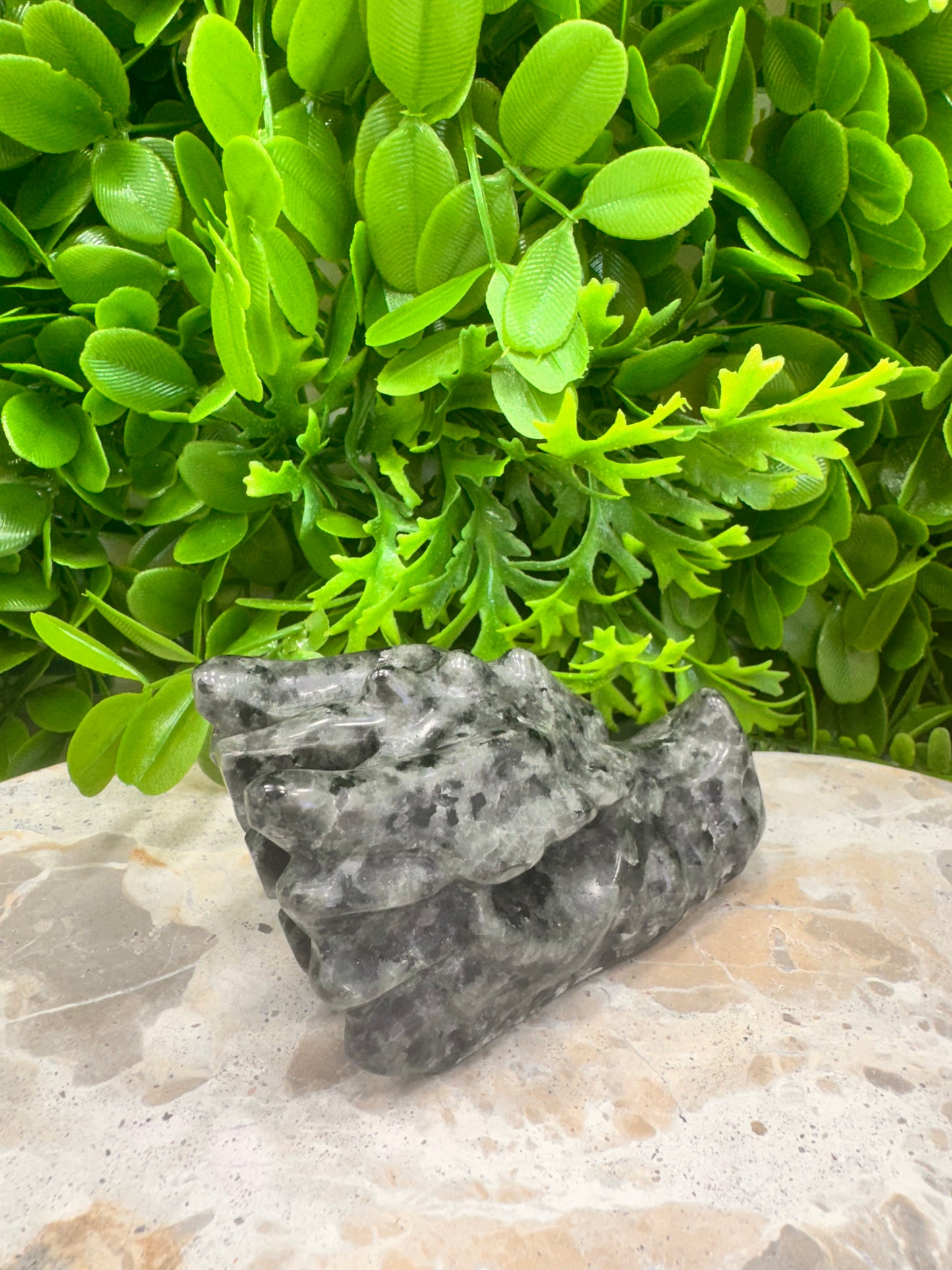 Larvikite Dragon Skull 308g