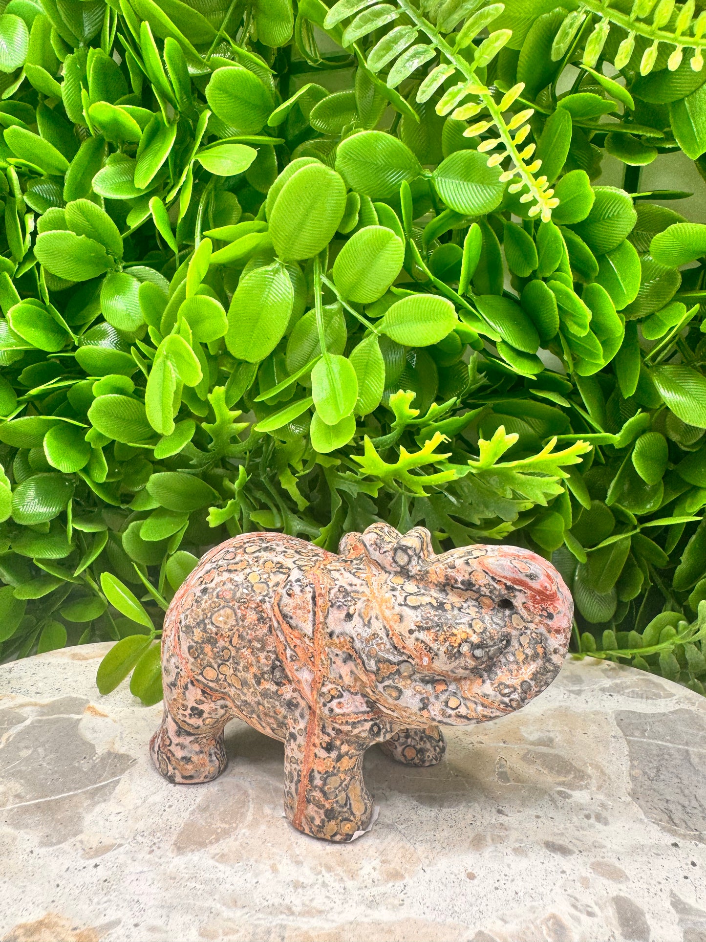 Red Leopard Skin Jasper Elephant 333g