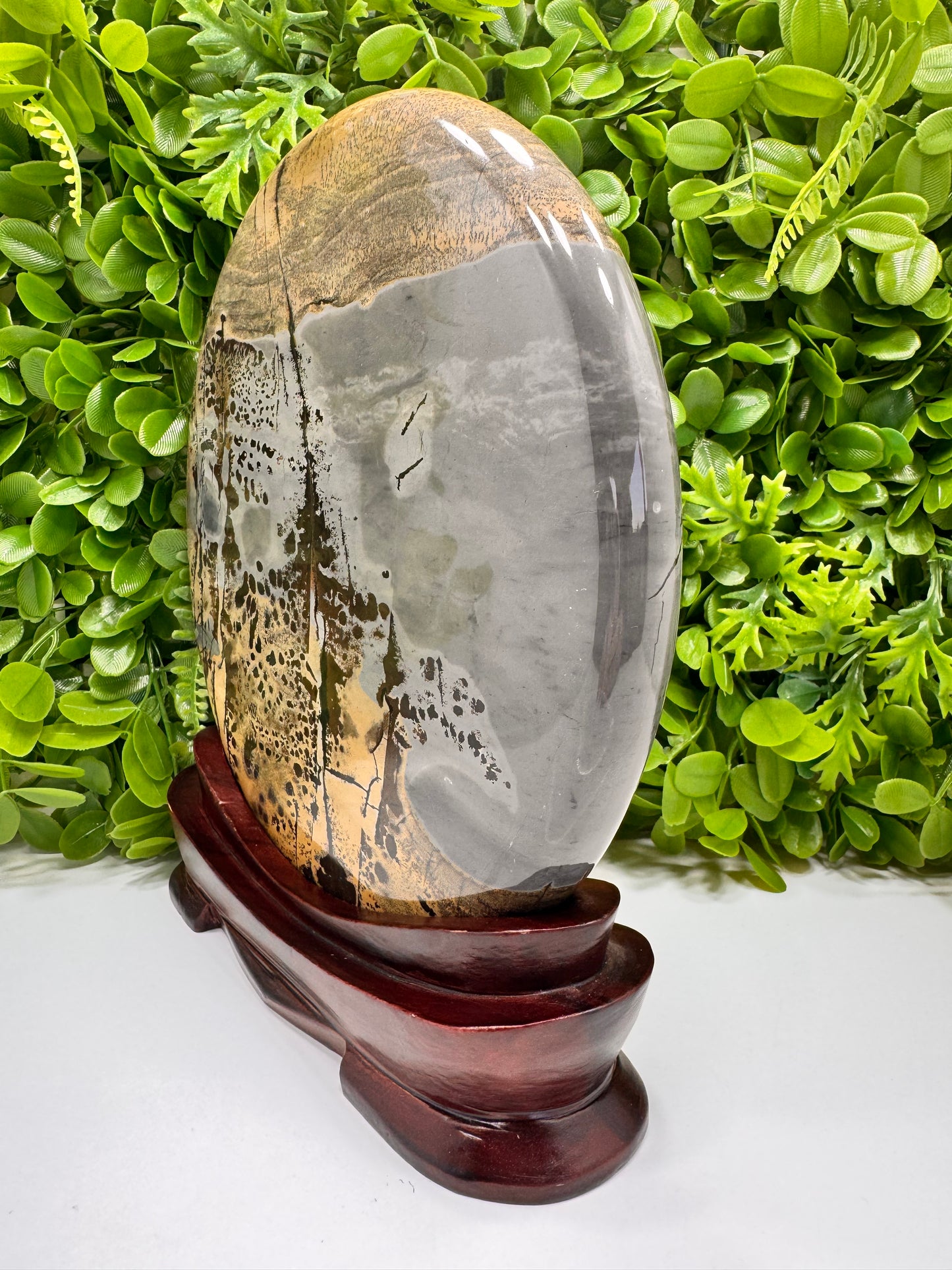 Picture Jasper in Frame 3452g