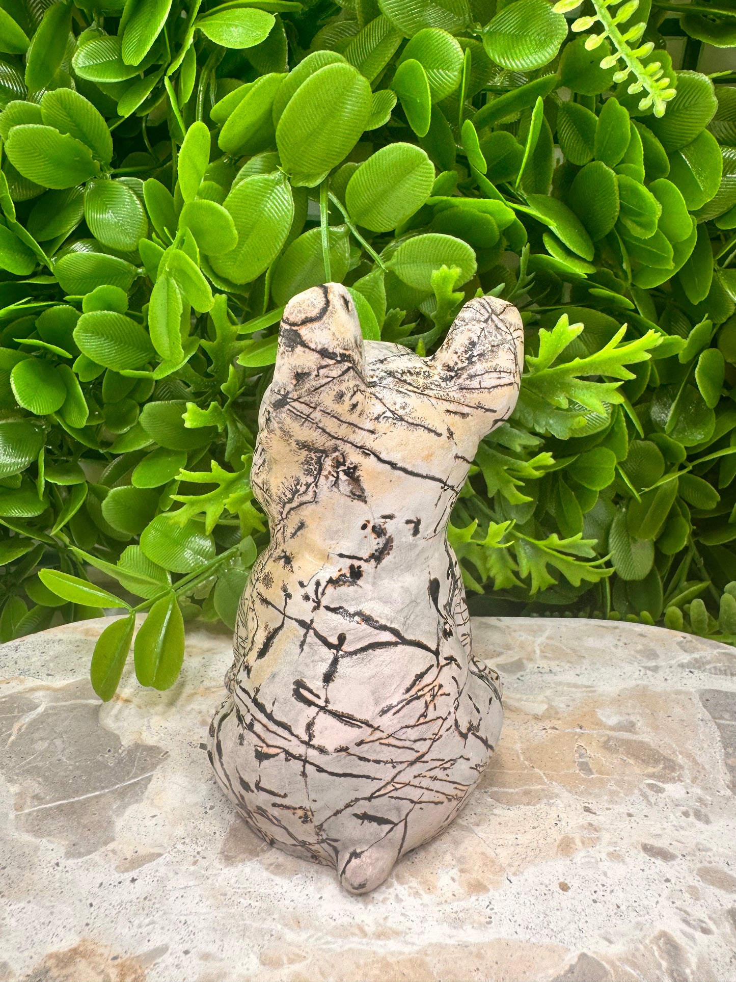 Picture Jasper French Bulldog 517g