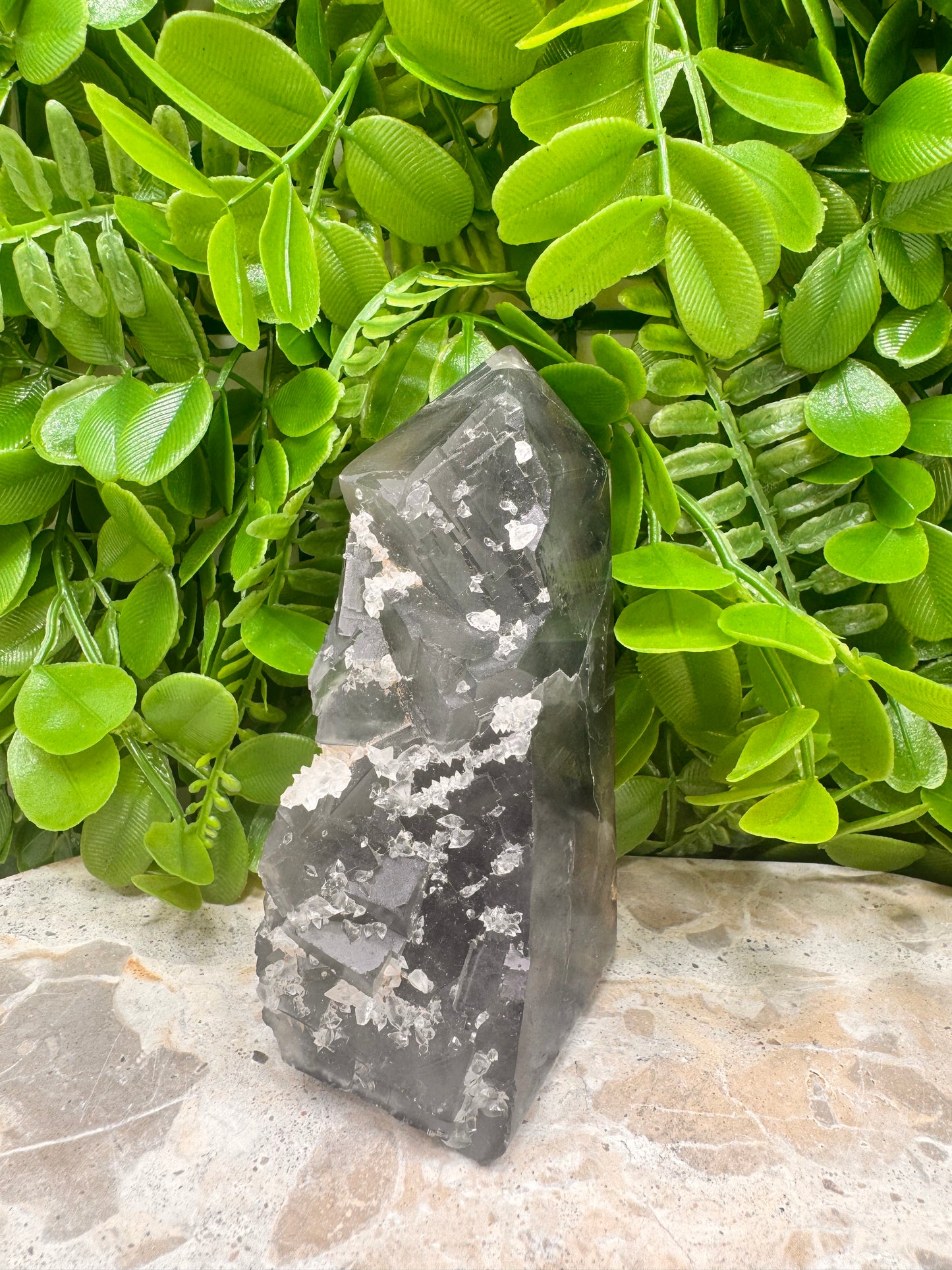 Fluorite Tower Freeform 480g