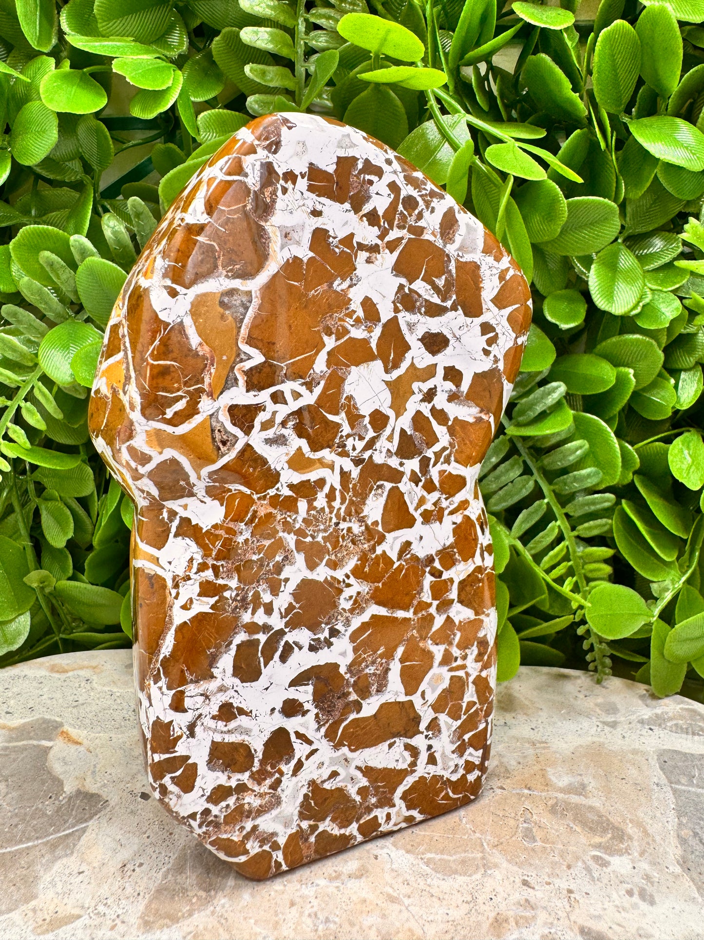 Jasper Agate Freeform 780g