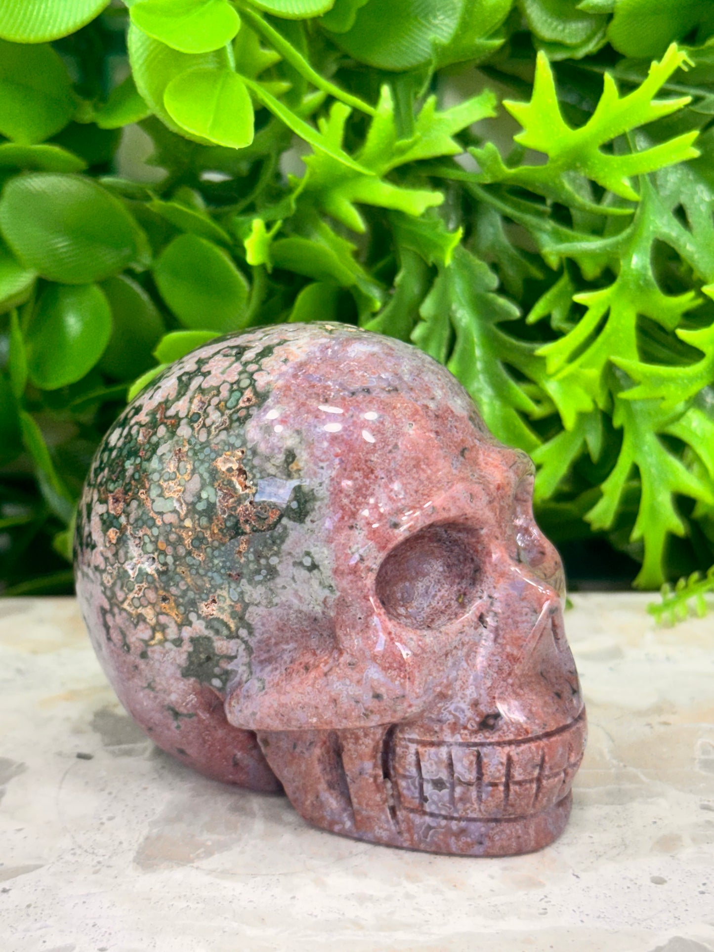 Ocean Jasper Skull 352g