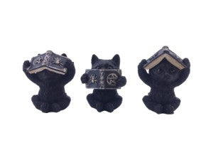 Black Wise Cats with Spell Book