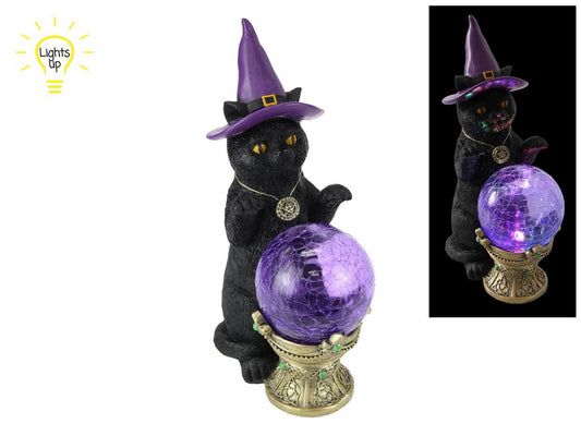 Black Cat Sorcerer's Apprentice