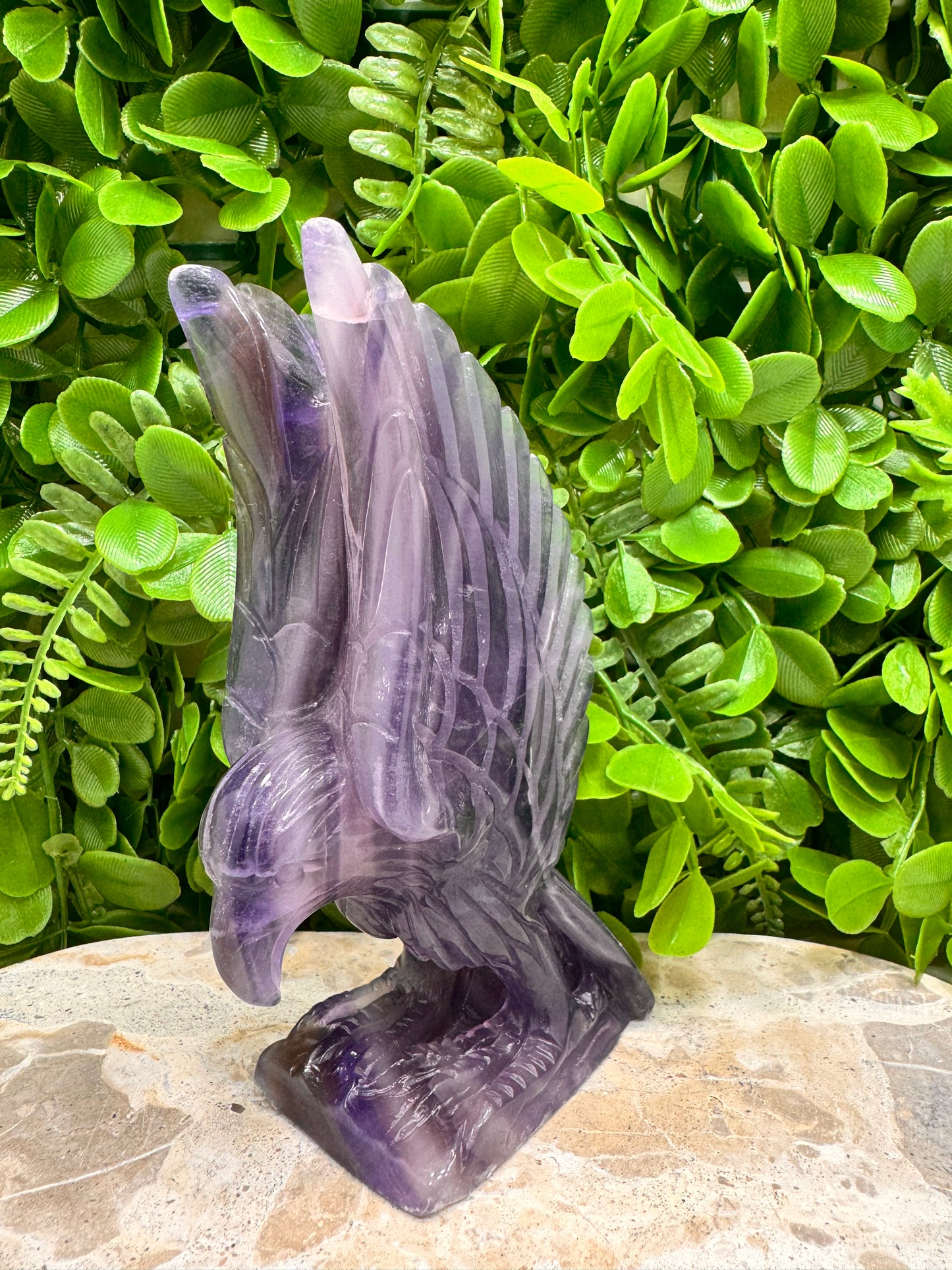Fluorite Eagle 728g