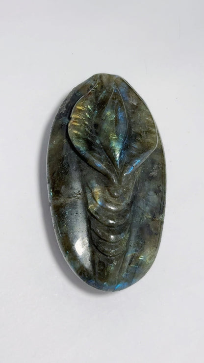 Labradorite Lady VJJ 104g