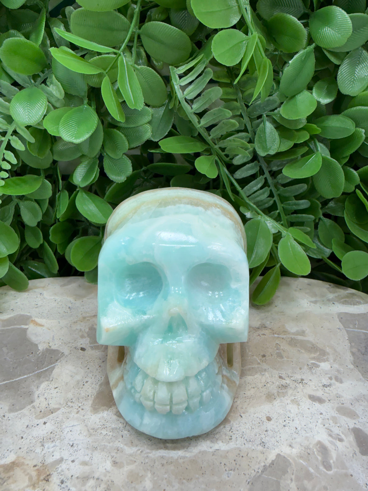 Caribbean Calcite Skull | Calm • Intuition • Emotional Healing