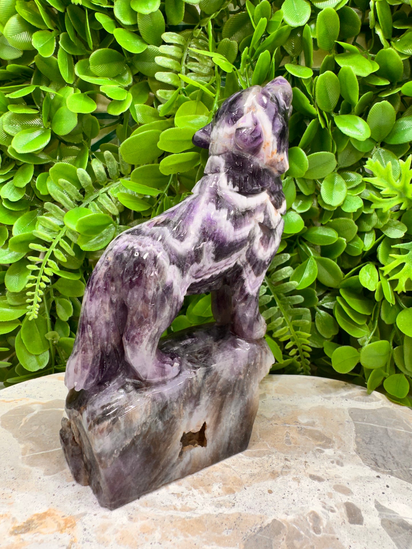 Chevron Amethsyt Wolf 920g