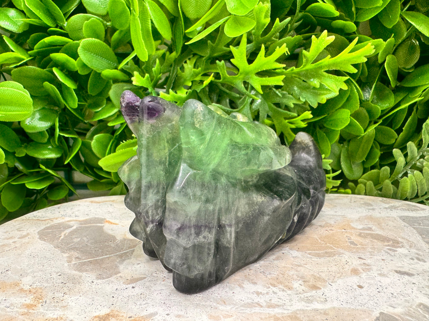 Green Purple Fluorite Dragon 588g