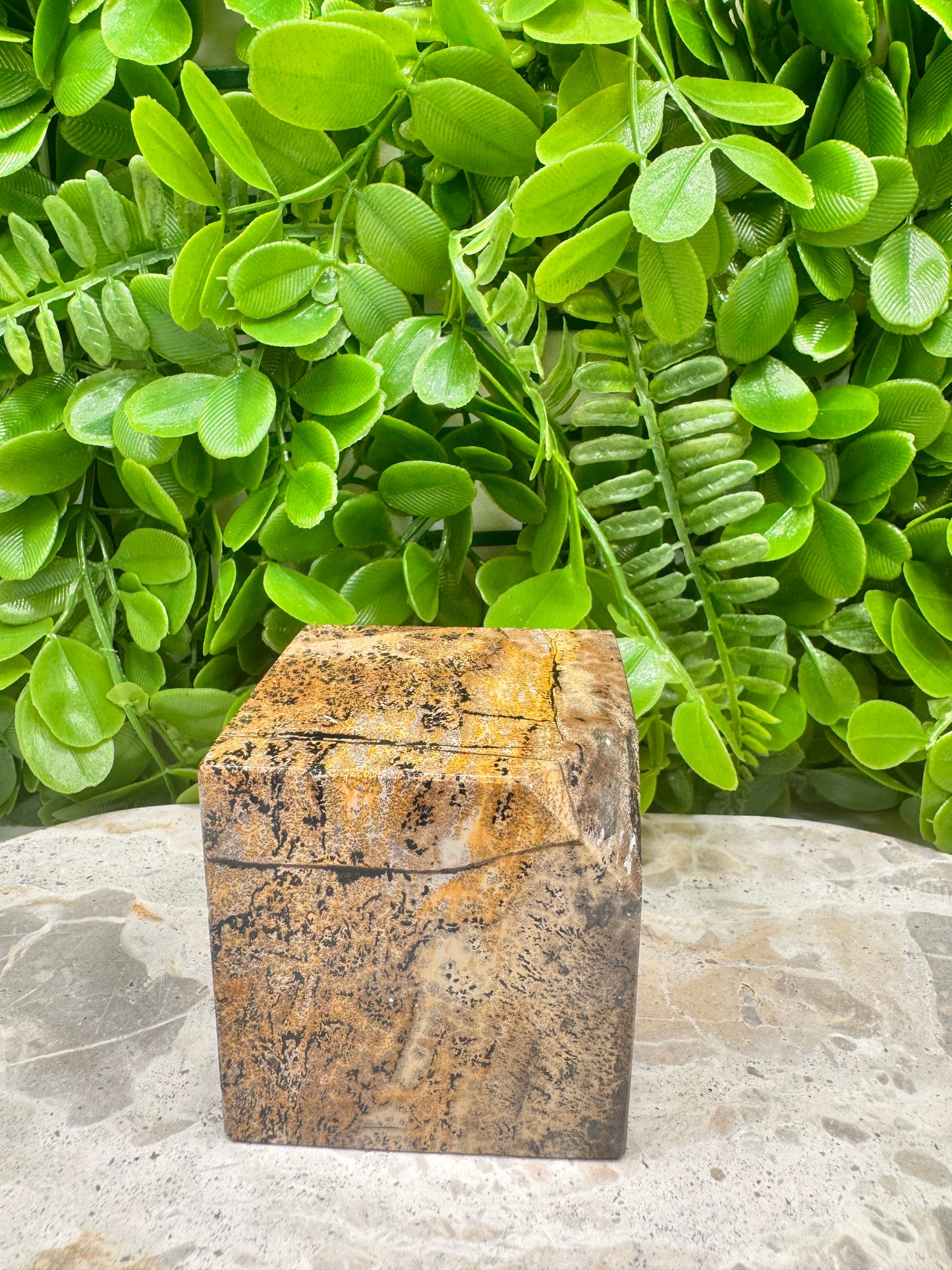 Picture Jasper Cube 546g