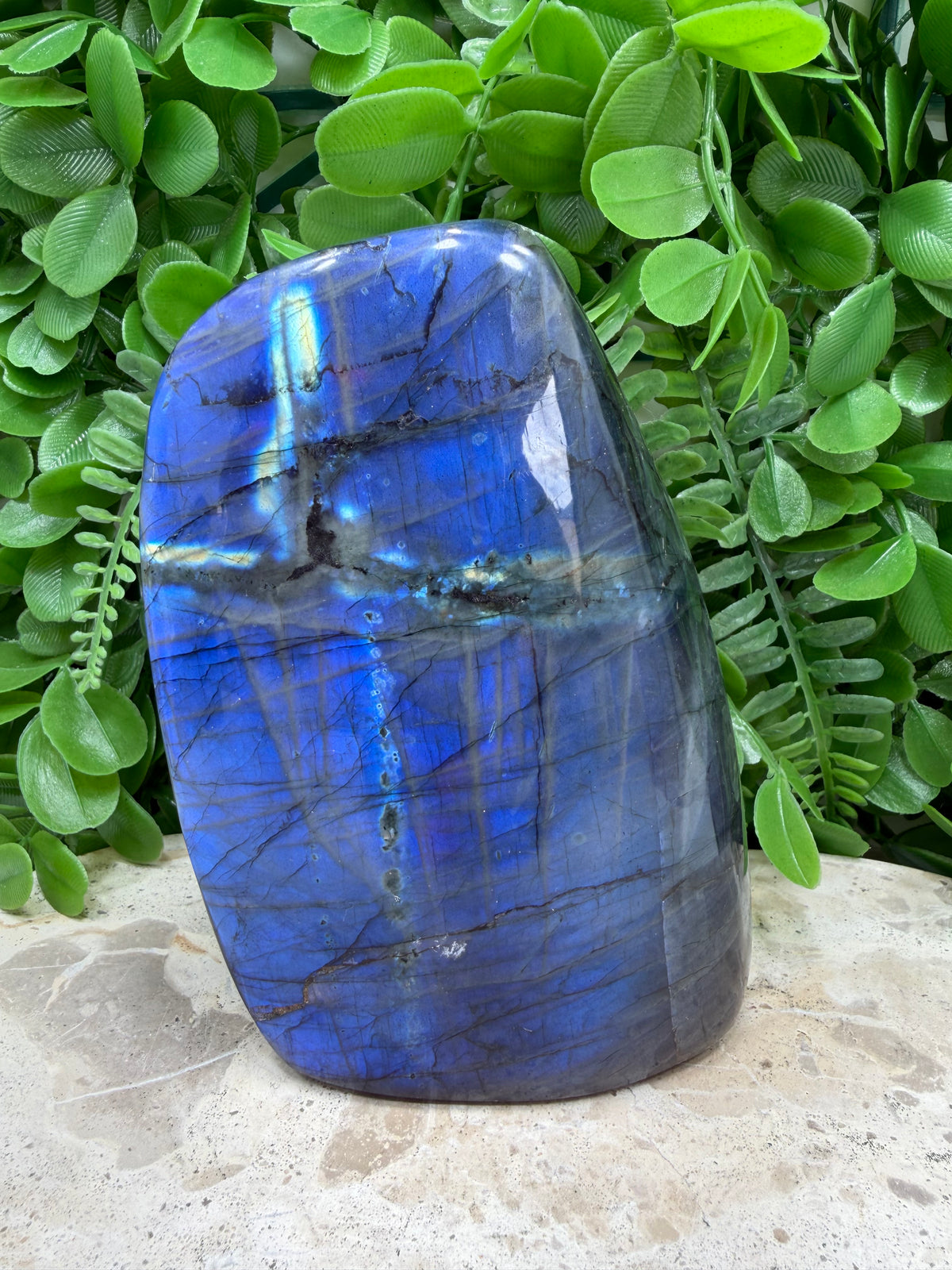 Labradorite Freeform | Protection • Intuition • Transformation