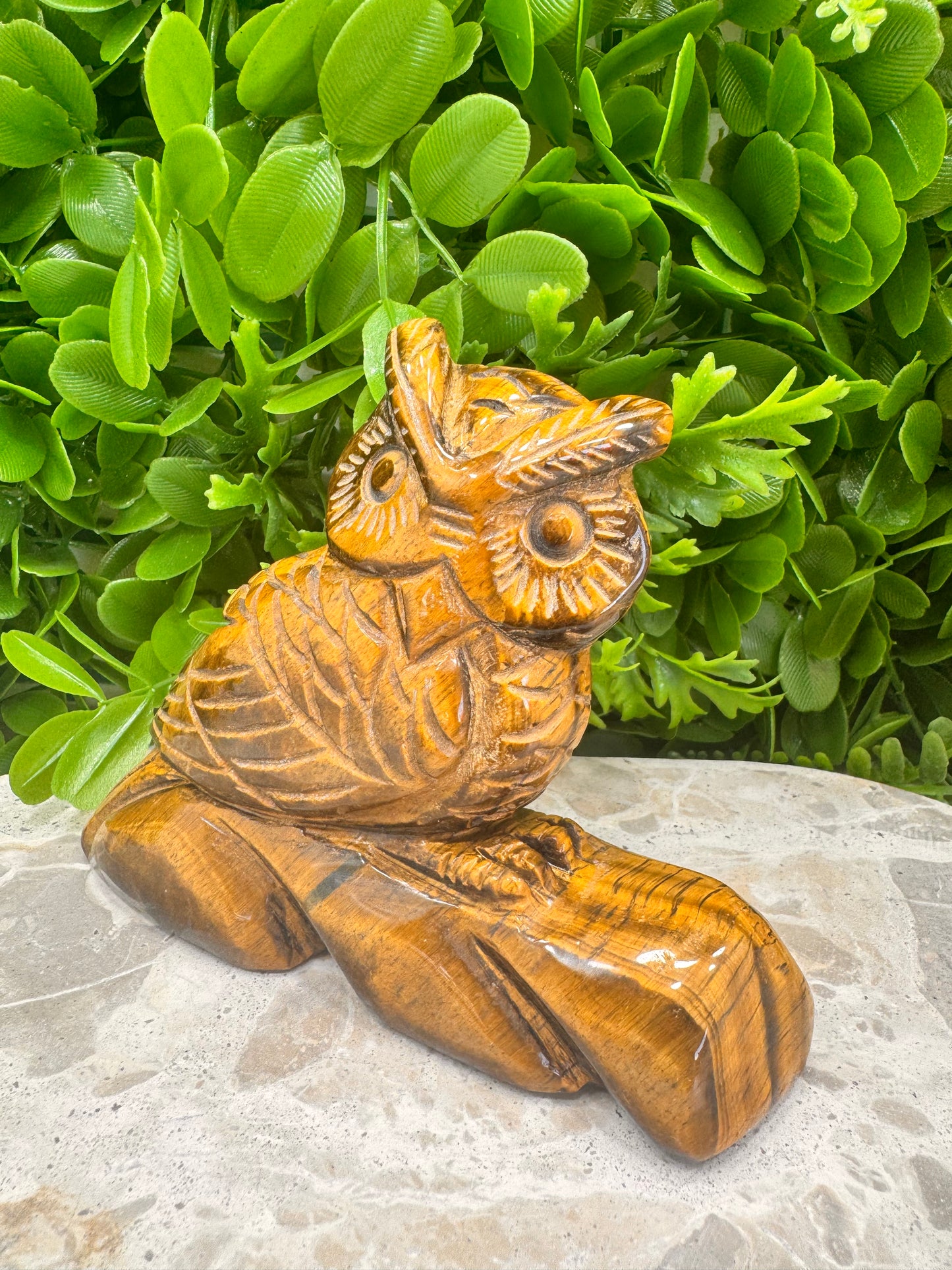 Tiger Eye Owl on a Log 590g