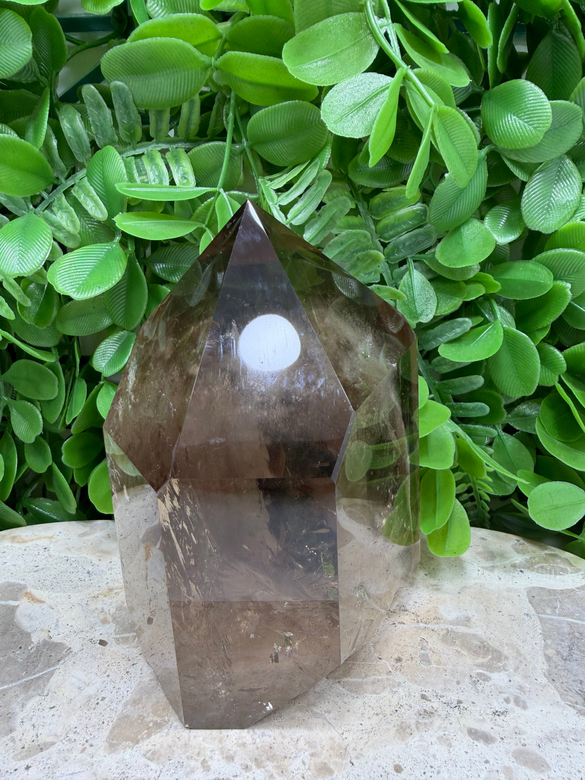 Smokey Quartz Freeform | Grounding • Protection • Calm
