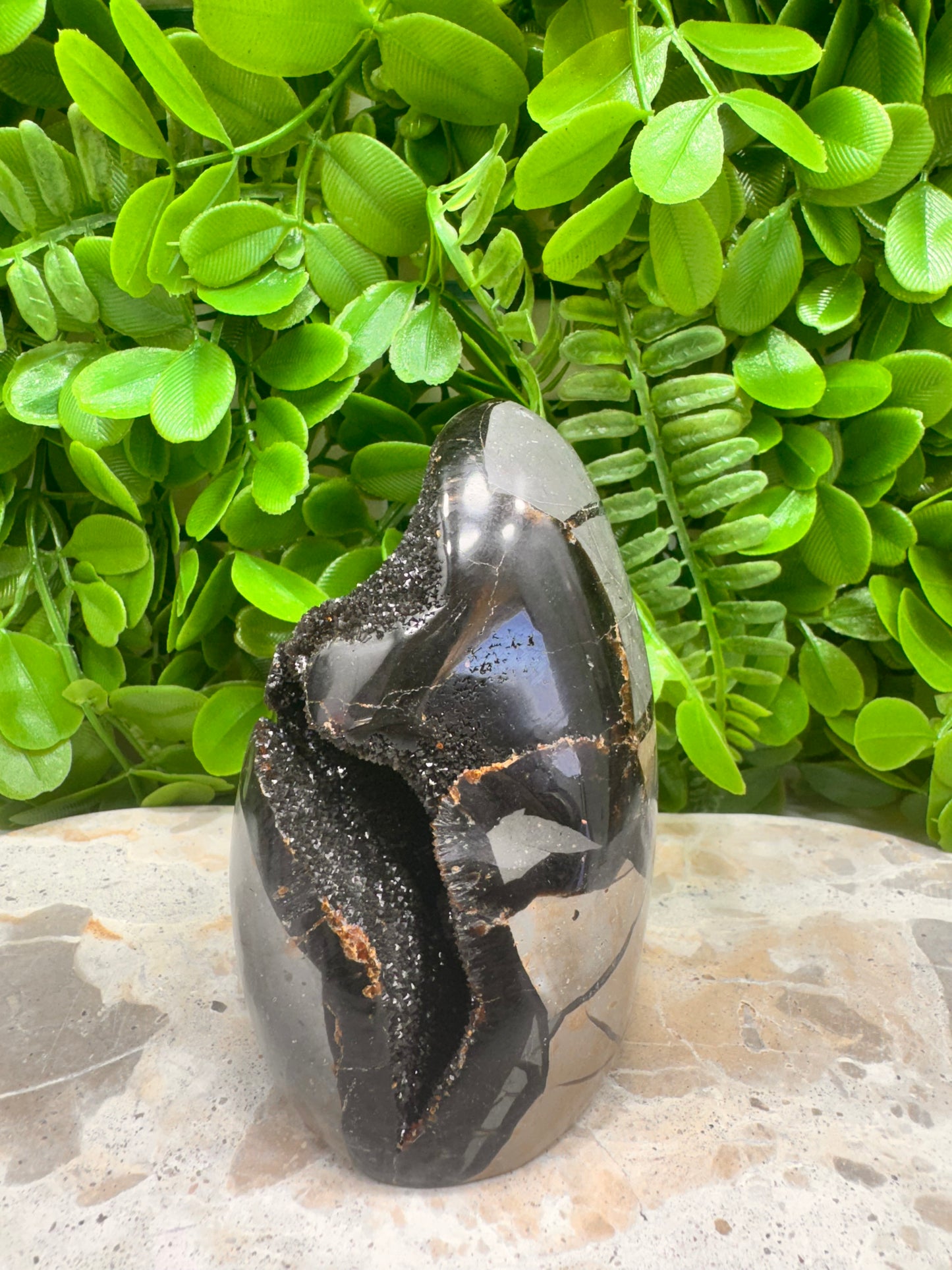 Septarian Freeform 570g