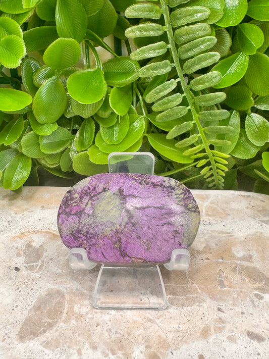 Stichtite Palm Stone 46g