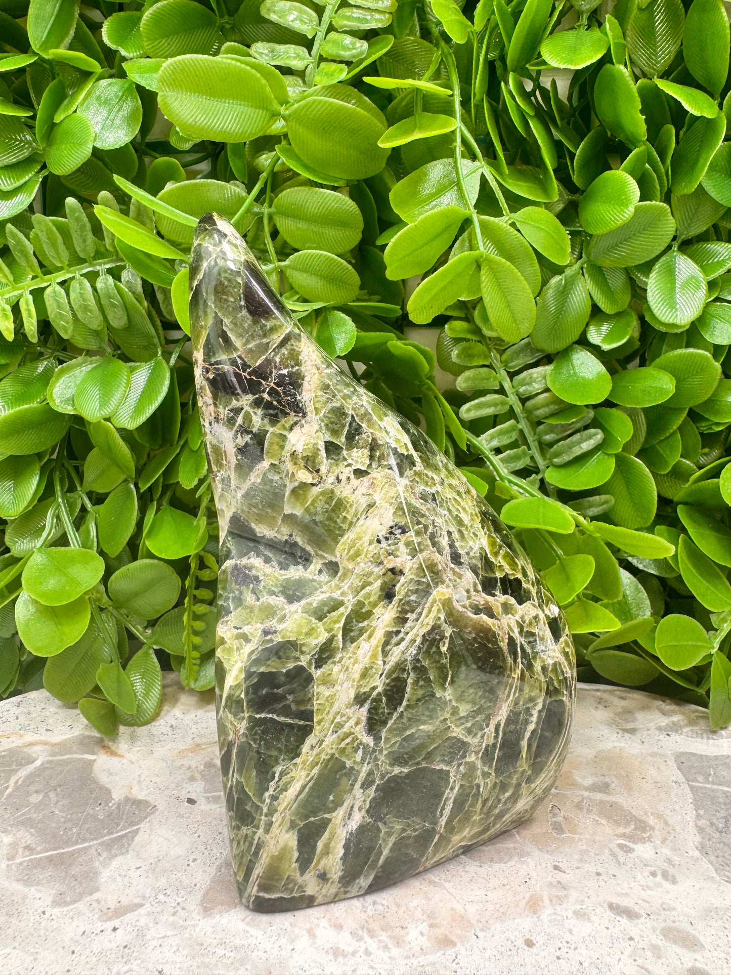 Tremolite Freeform 662g