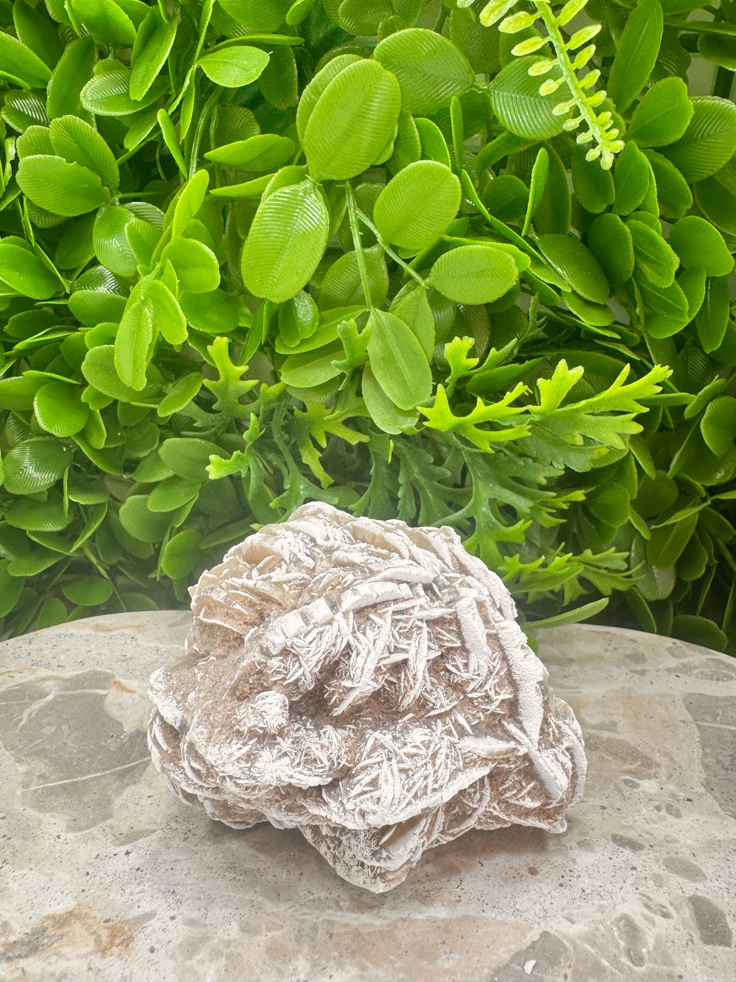 Desert Rose Selenite Cluster 504g