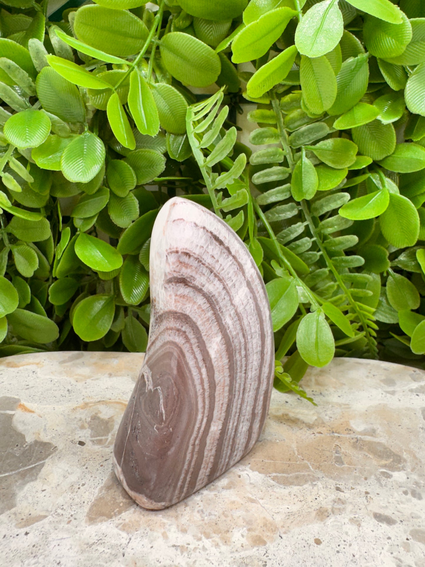 Chocolate Aragonite Freeform 230g