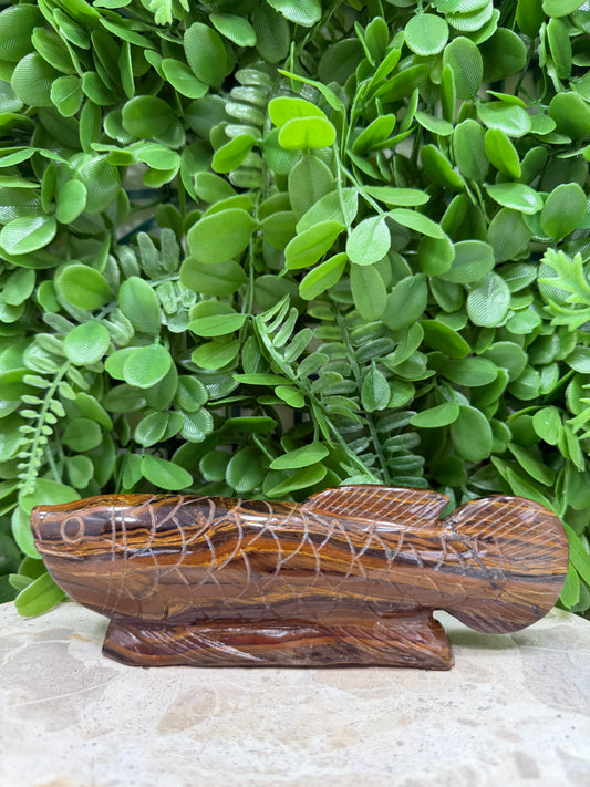 Tiger Eye/Tiger Ore Fish 456g