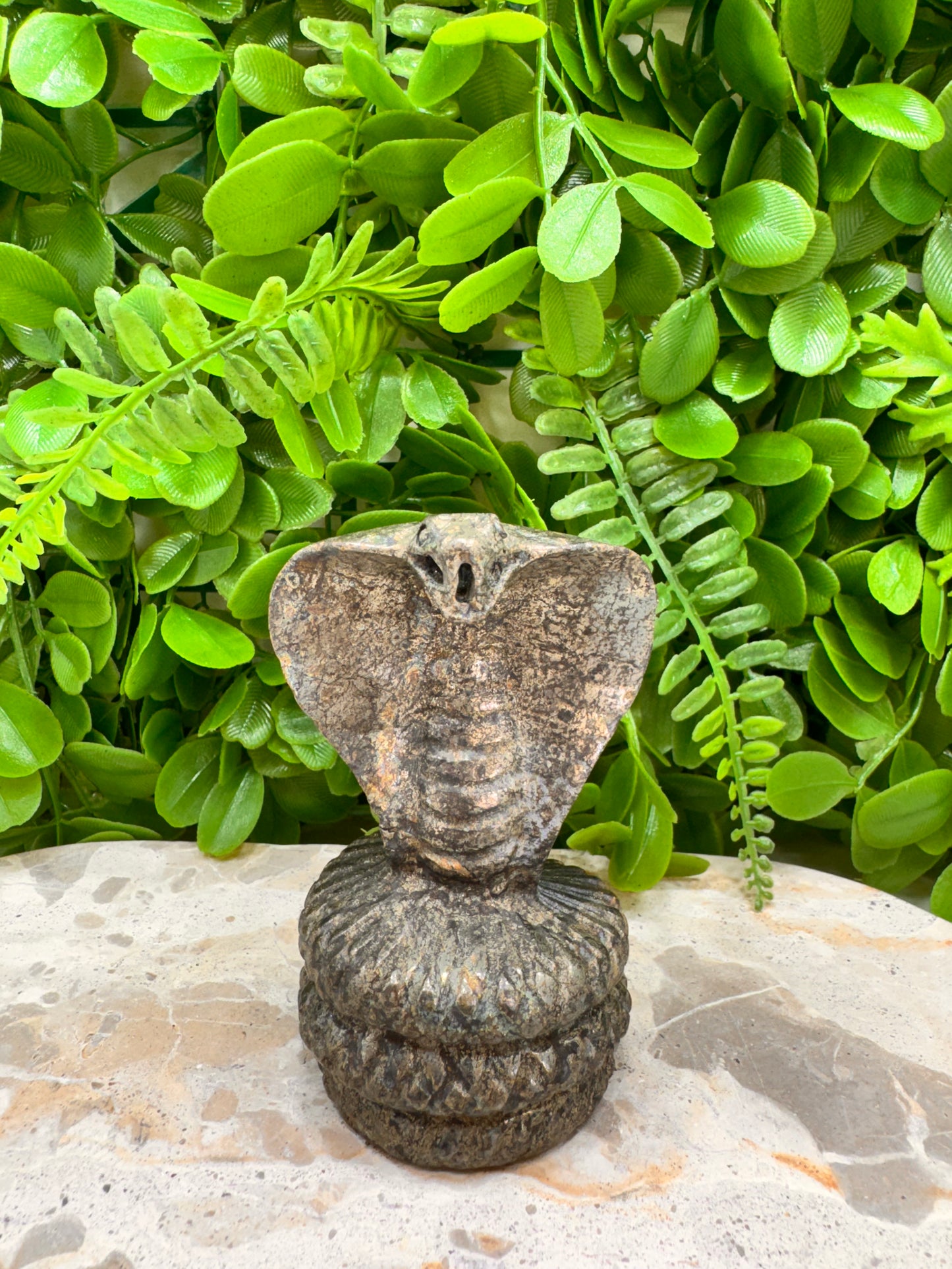 Pyrite Cobra 418g